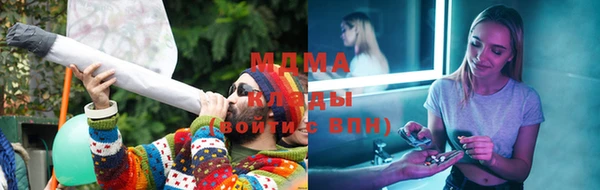 СК Новодвинск