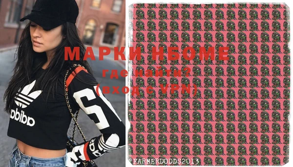 СК Новодвинск