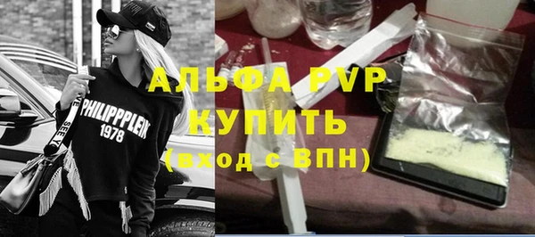 СК Новодвинск